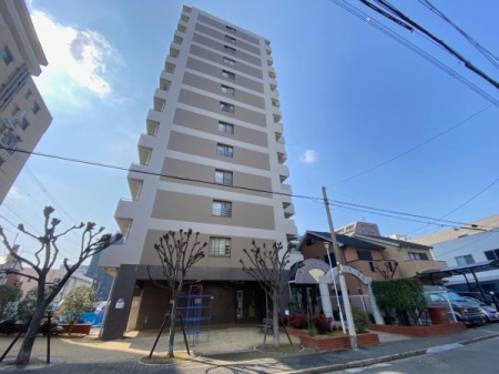 ���̑����n ��C�{���u��w�v�w�k��5����