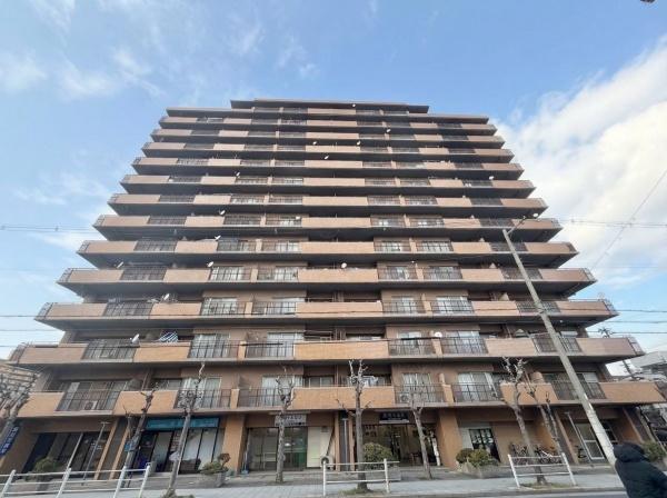 ���̑����n 14�K���}���V����