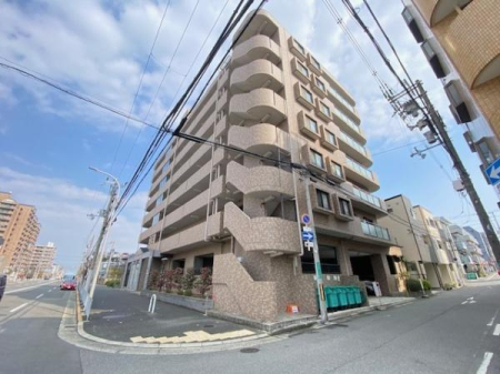 ���̑����n -