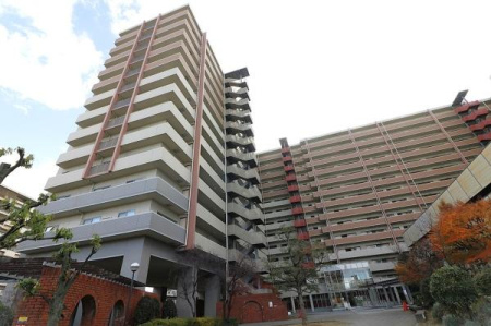 ���̑����n -