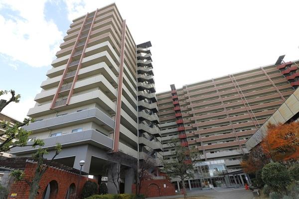 ���̑����n -