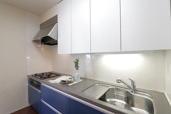 �L�b�`�� �������D���Ɋ������V�X�e���L�b�`����
