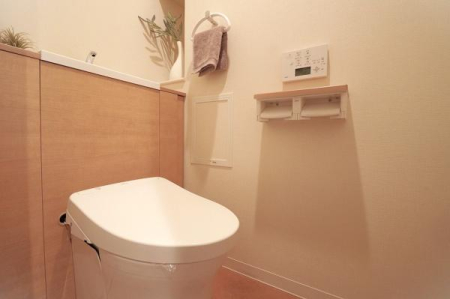 �g�C�� �������̂���g�C���ł��ꂢ�����ς�