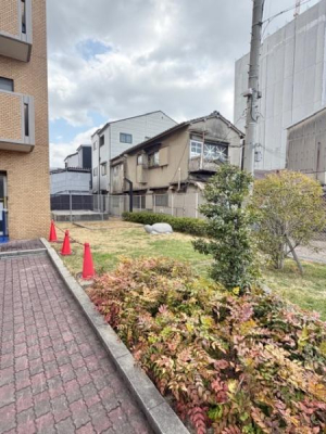 ���̑����n �~�n�������ł��B