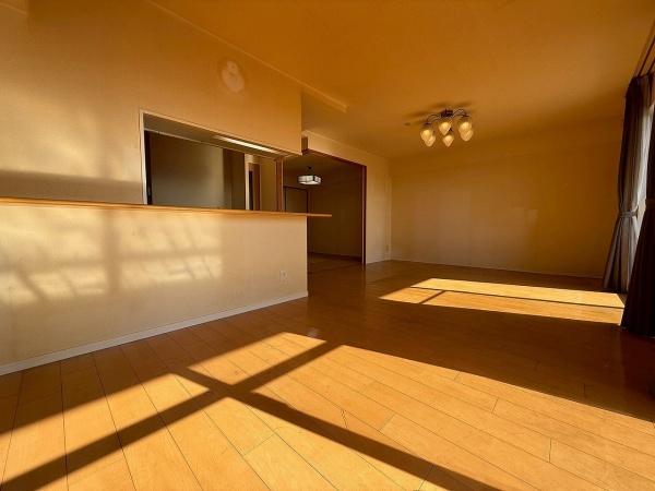 ���r���O -