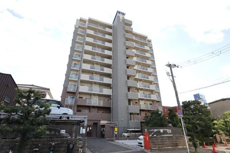 ���̑����n -