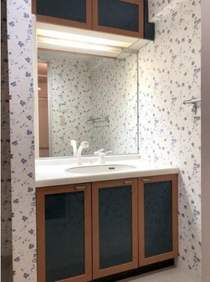 ���ʑ�E���ʏ� �@�\�I�ł���Ȃ���V���v���ȃX�^�C���̐��ʉ��ϑ�� 