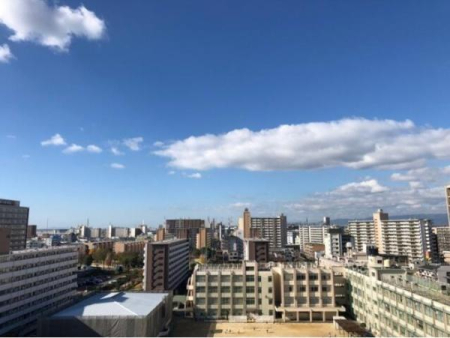 �Z�˂���̒��]�ʐ^ �o���R�j�[����̒��]�ʐ^�ł���