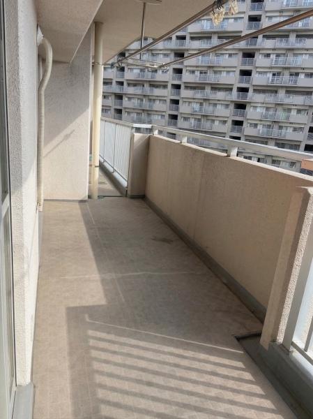 �o���R�j�[ ������ǍD�ȃo���R�j�[