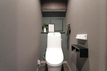 �g�C�� �������̂���g�C���ł��ꂢ�����ς�