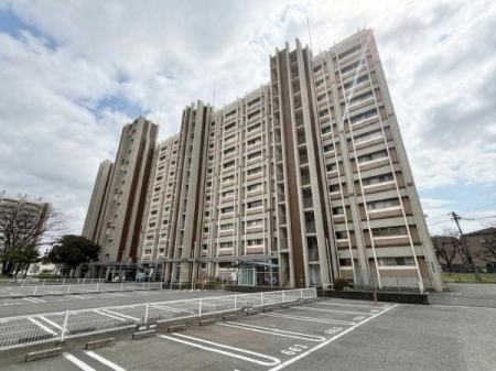 ���n�O�ώʐ^ �G���x�[�^�[��~�K�E�y�b�g�����