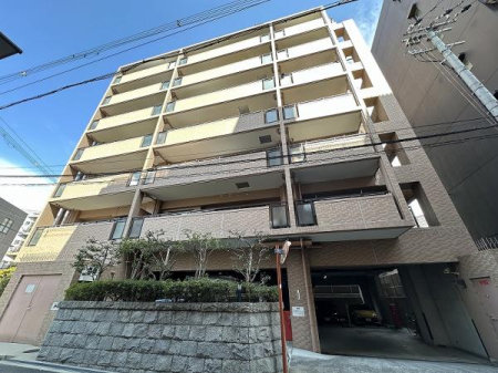 ���̑����n -