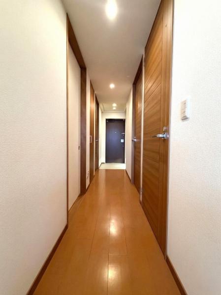 ���̑����� -