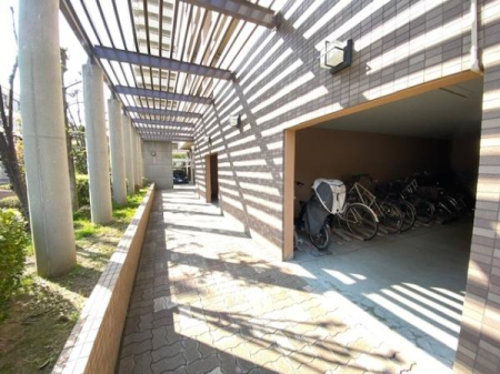 ���̑����n -