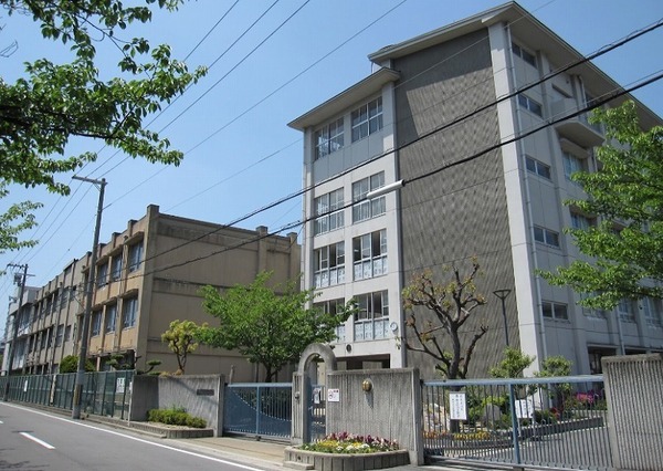 ���ӊ� �y���w�Z�z��s�����B���w�Z�F1517�u