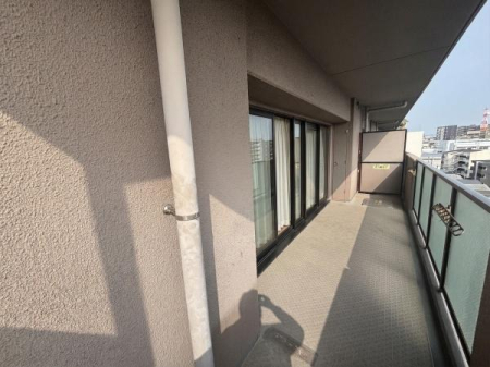 �o���R�j�[ �p�����̎O�ʃo���R�j�[�쓌������