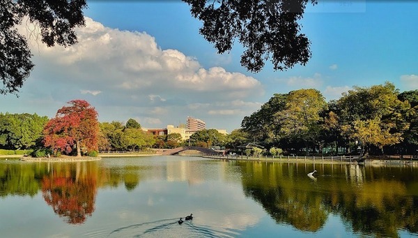 ���ӊ� �y�����z�Z�V�]�����F606�u