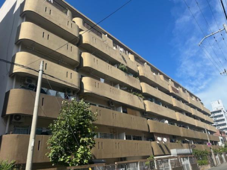 ���n�O�ώʐ^ ��C������u�䑷�q�O�v�w�܂œk���S����w��