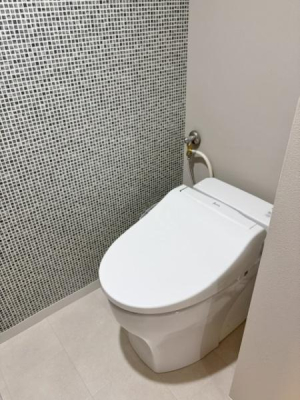 �g�C�� �������̂���g�C���ł��ꂢ�����ς��