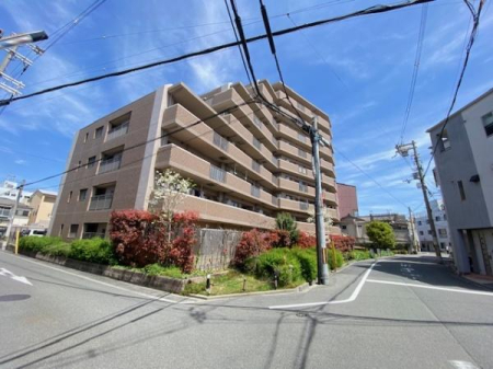 ���̑����n -