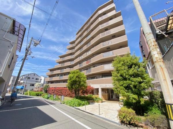 ���̑����n -