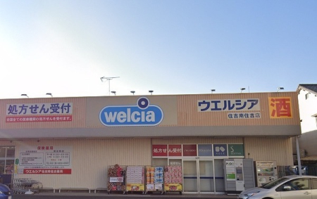 ���ӊ� �y�h���b�O�X�g�A�z�E�G���V�A�Z�g��Z�g�X�F490�u