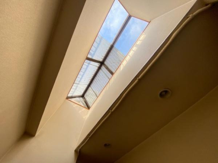 ���̑����� �����������ł���