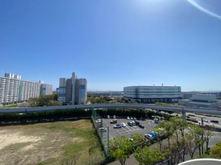 �Z�˂���̒��]�ʐ^ �z����ǍD�i�F�ǂ���