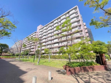 ���̑����n -