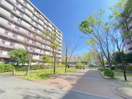 ���̑����n -