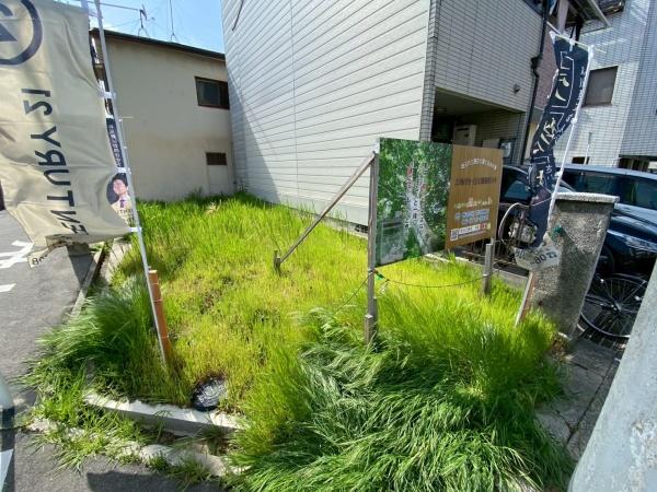 ���n�y�n�ʐ^ -