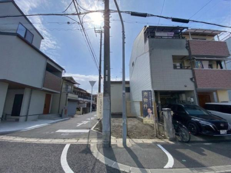 ���n�y�n�ʐ^ -