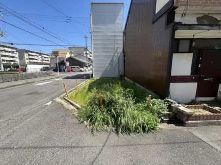 ���n�y�n�ʐ^ -