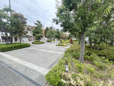 ���̑����n -