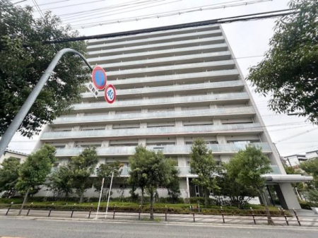 ���̑����n -