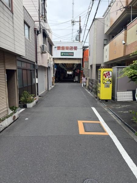 �O�ʓ��H�܂ތ��n�ʐ^ ������4.2��