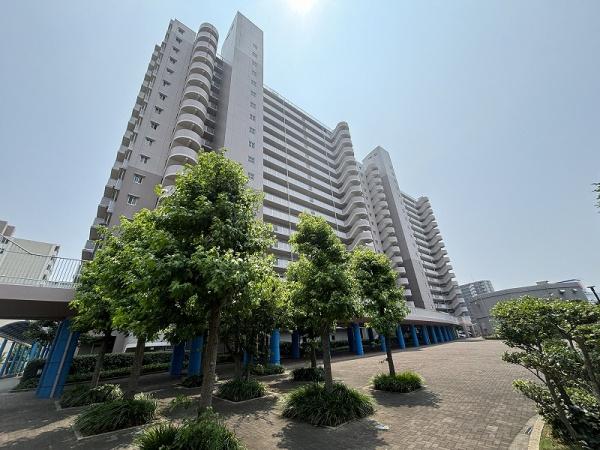 ���̑����n -