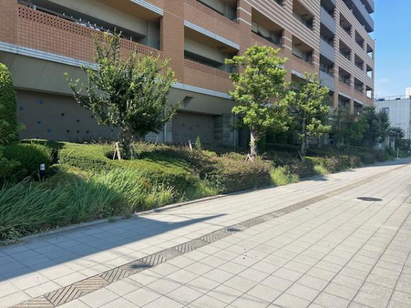 ���̑����n -