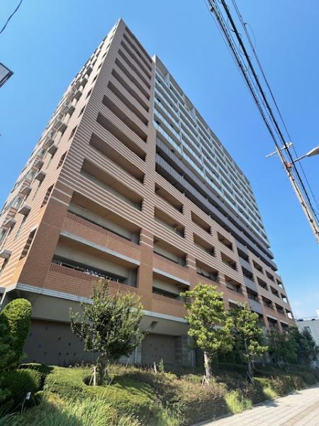 ���̑����n -