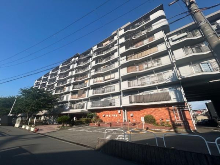 ���̑����n -