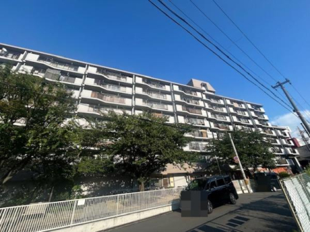 ���̑����n -