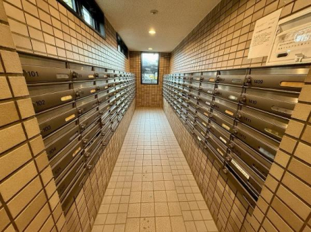 ���̑����p�� -