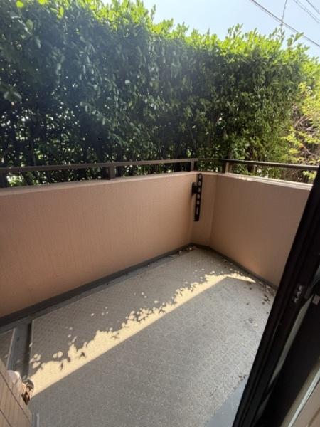 �o���R�j�[ ������ǍD�ȃo���R�j�[��