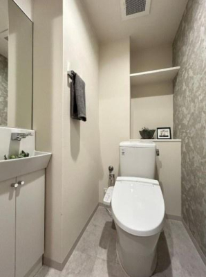 �g�C�� �������̂���g�C���ł��ꂢ�����ς��

