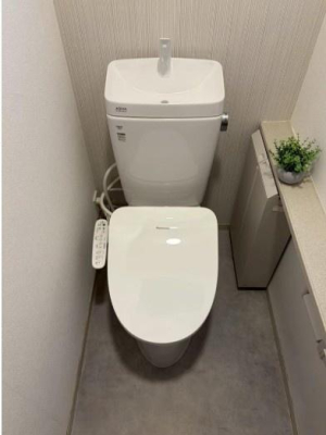 �g�C�� �������̂���g�C���ł��ꂢ�����ς��
