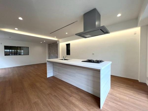 �L�b�`�� ���A�C�����h�L�b�`���ׁ̈A�J�E���^�[�u���̂����X�X���ł���