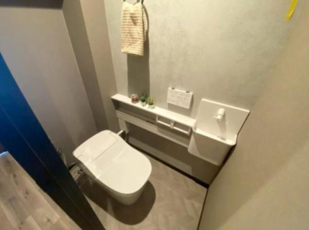 �g�C�� �������̂���g�C���ł��ꂢ�����ς�