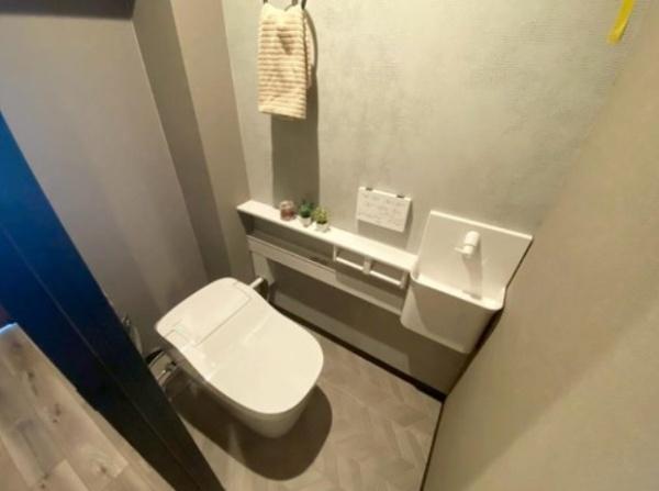 �g�C�� �������̂���g�C���ł��ꂢ�����ς�