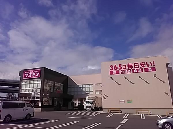 ���ӊ� �y�h���b�O�X�g�A�z�h���b�O�X�g�A�R�X���X �������X�F1368�u