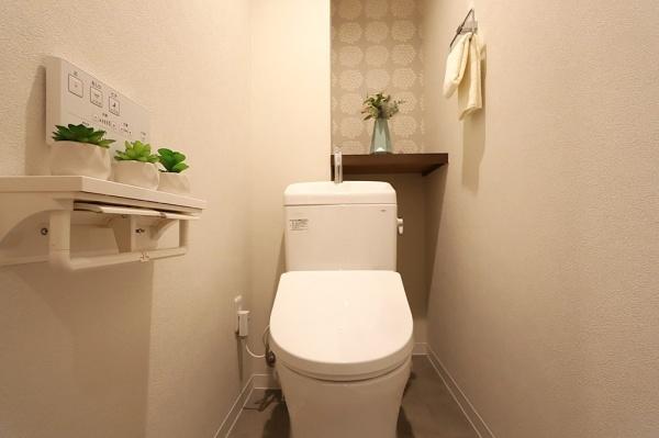 �g�C�� �������̂���g�C���ł��ꂢ�����ς��
